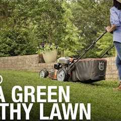 Lawn Care 101: How to Weed, Seed, Feed, Mow, & Water