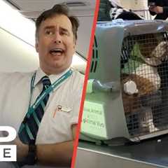 Funniest Travel Moments 😂 ✈️ | LADbible