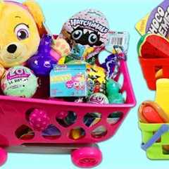 PAW PATROL Pup Baby Skye Goes Shopping for Groceries!