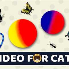 CAT GAMES - Catch the Rolling Ball, Mice, Ants, Strings, Butterflies | Video for Cats | CAT &..