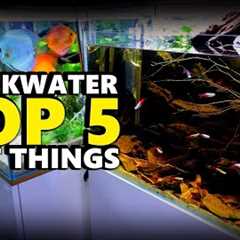 Blackwater Aquarium!! Top 5 Things | MD Fish Tanks