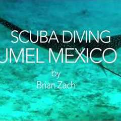 Scuba Diving Cozumel Mexico 2024