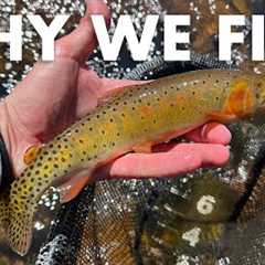 THIS Is the Key to Finding Good Creeks to Fish! (Tenkara Fly Fishing)