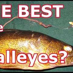 The Best Walleye Lure That You're NOT Using