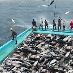 Amazing Fast Tuna Fishing Skill, Catching Fish Big  on The Sea