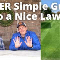 Lawn Care for Beginners