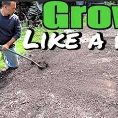 How to Plant a yard and grass seed like a pro -  Grow a new lawn, overseeding, yard & sod care..