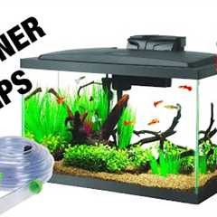 Aquarium Maintenance for Beginners