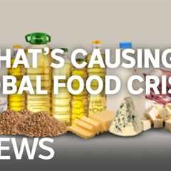 What's causing a global food crisis and is the world running out of food? | ABC News