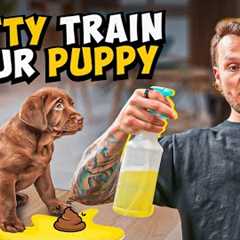 Puppy Training - How To Potty Train A PUPPY In 5 Minutes!