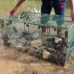 Wow best creative River Crab Trap using Iran net in the lake