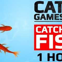 CAT GAMES - 🐟 CATCHING FISH 1 HOUR VERSION (VIDEOS FOR CATS TO WATCH)