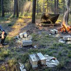 I'm Building a Guest LOG CABIN on My Land from SCRATCH! PART 1