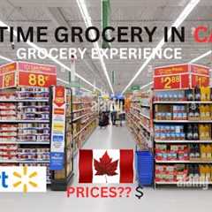 FIRST TIME GROCERY SHOPPING IN CANADA || GROCERY SHOPPING AT WALMART || INDIAN STUDENT IN CANADA ||