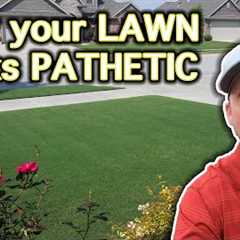 Beginner Lawn Care Tips // How To Improve Your Lawn in 3 Easy Steps // Motivation for a Nice Lawn