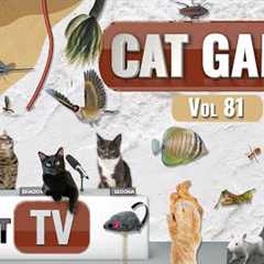 CAT Games | Ultimate Cat TV Compilation Vol 81 | 4 HOURS  🐝🐞🦋🦎🦜🐜🐭🧵