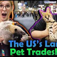 We went to the Global Pet Expo!