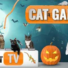 Cat Games | Purranormal Playtime: A Spooky Halloween Cat TV Special 🎃🐱 | Videos For Cats to Watch ..