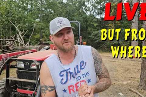 Where Did I End Up |tiny house, homesteading, off-grid, cabin build, DIY  sawmill tractor tiny cabin