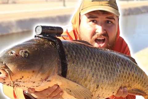I Strapped a Camera on a Carp! (Underwater Canal Footage)