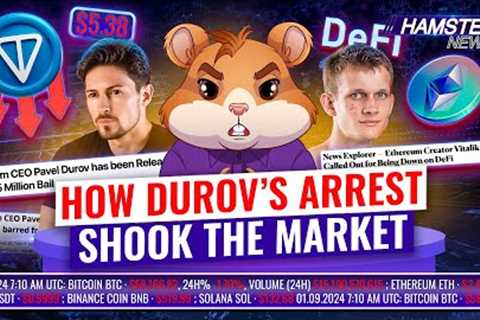 Durov’s €5m bail and ongoing investigation shakes TON, Buterin under fire ⚡️ Hamster News