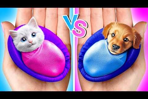 Cats VS Dogs 🐶😻 *Rich vs Poor DIY Gadgets and Fidget Hacks for Pet Owners*