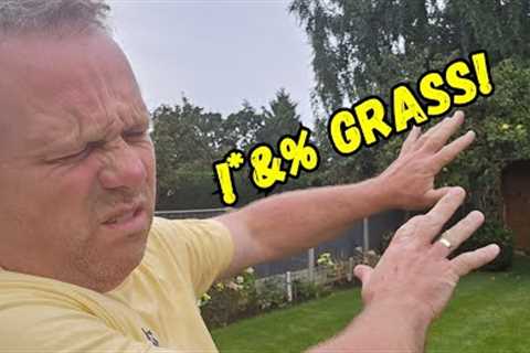 I stopped lawn care and this happened