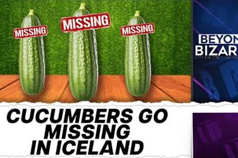 Canada Influencer Causes Cucumber Shortage In Iceland | Beyond Bizarre