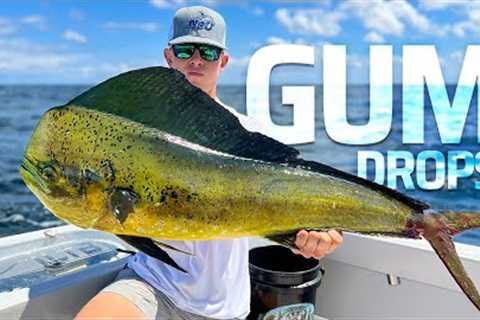 Mahi Fishing Only 2 miles Offshore!