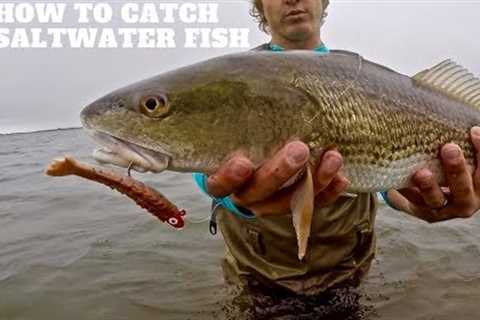 SALTWATER Lure Fishing 101 | Beginners Guide MADE EASY to Catch SALTWATER FISH with lures