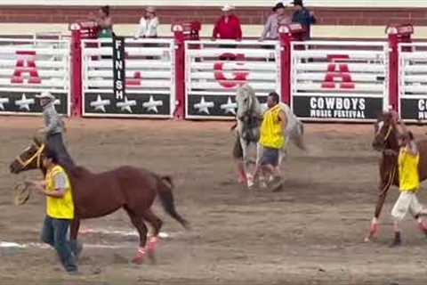 Bareback Relay Horse Racing at the Calgary Stampede 2024 (Race 2)