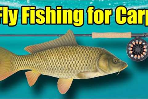 Fly Fishing for Carp – A Beginners Guide to Carp Fishing with a Fly Rod