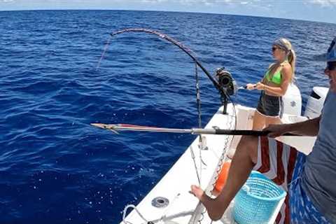 We Caught a Fish so Big I had to use the Harpoon!(Catch Clean &amp; Cook) My New PB