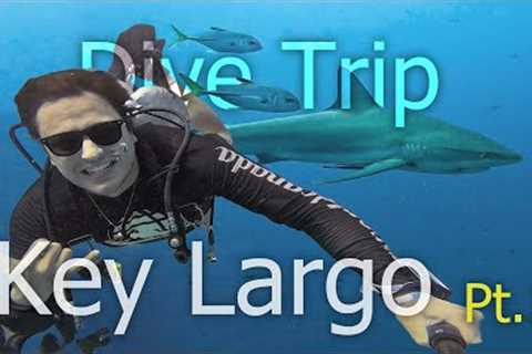 Key Largo Dive Trip | Florida, USA | Part 1 of 2 | Scuba Diving the Florida Keys