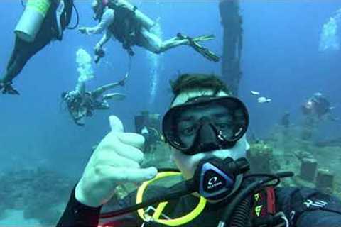 Scuba Diving Roatán, Honduras: August 2024 Adventure