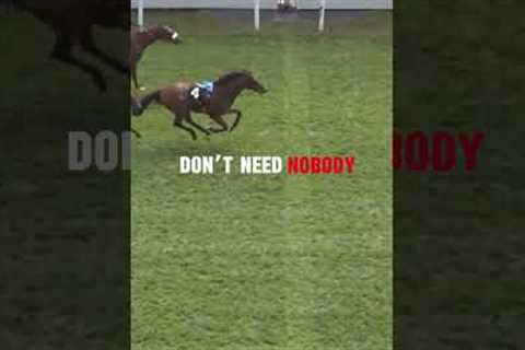 Don’t need nobody IM GOING LIVE TODAY AT 11:00 AM  #horse #equestrian