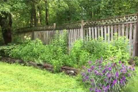 A few native plant garden design tips