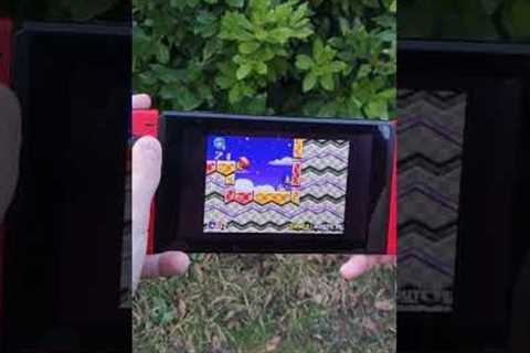 What can a Modded Nintendo Switch do?