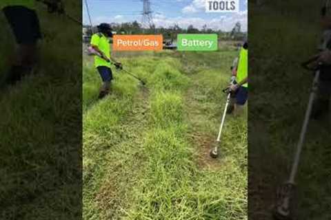 Petrol/Gas vs Battery Outdoor Power Equipment. Ego Vs Stihl