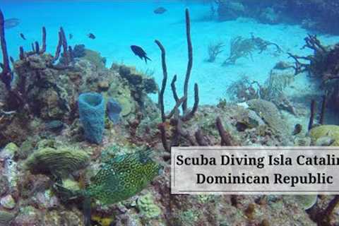 Scuba Dive Isla Catalina | Dominican Republic | Travel