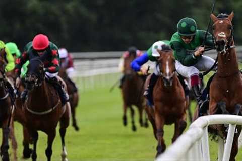 Hot favourite crashes out with race at his mercy!