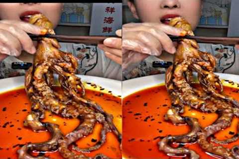 Octopus Eating Sea Food Chinese Mukbang Review
