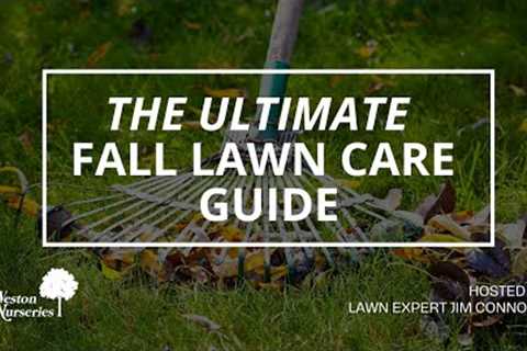 The Ultimate Fall Lawn Care Guide: Fertilizing &amp; Seeding Expert Tips with Jim Connolly