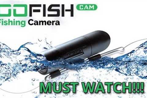 GOFISH CAM | FISHING CAMERA | FISH ONNN!!! #seafishing #fishing #underwatervideo