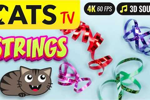 CATS TV - Multicolor STRINGS 🙀🎗️ Real FAST game for cats 😻📺 [4K 60FPS]