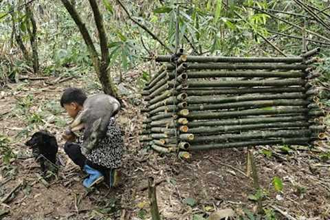 With his survival skills, Nam's boy created a bamboo trap to catch the wild boar to sell