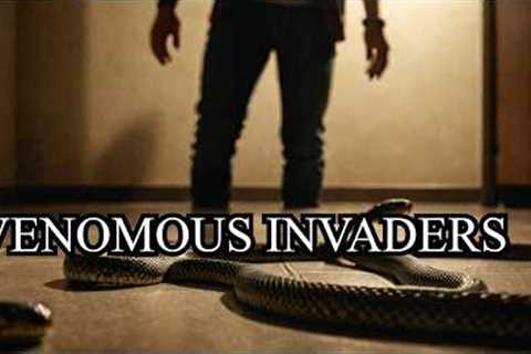 We Found Venomous Snakes In Our House