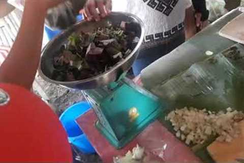 How To Make Fermented Plants Juice FPJ / Non Chemical Pesticides &amp; Fertelizer