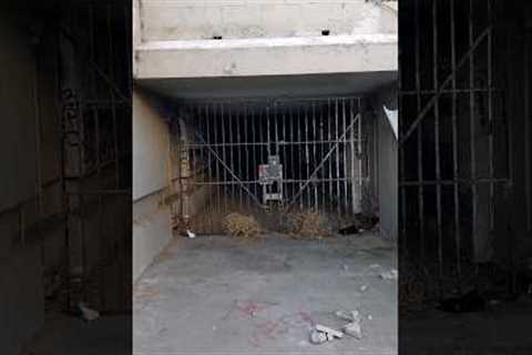 Decommissioned military bunkers #abandoned #california