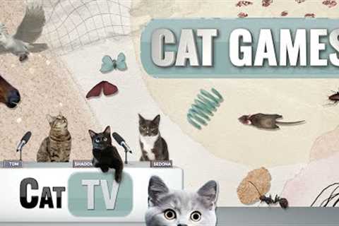 CAT Games | Ultimate Cat TV Compilation Vol 73 | 2 HOURS 🐝🐞🦋🦎🦜🐜🐭🧵